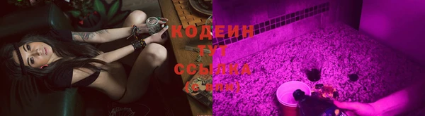 индика Володарск