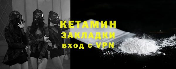 индика Володарск
