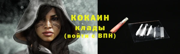 стаф Волоколамск