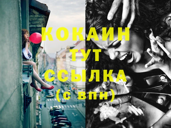 индика Володарск