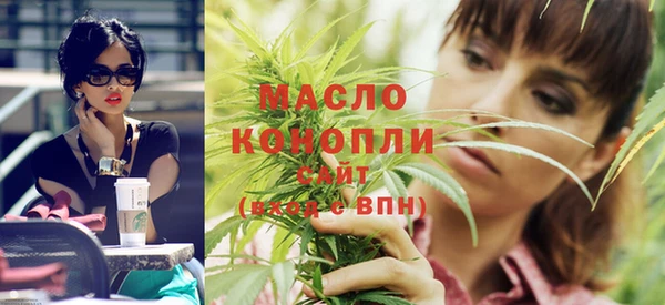 индика Володарск